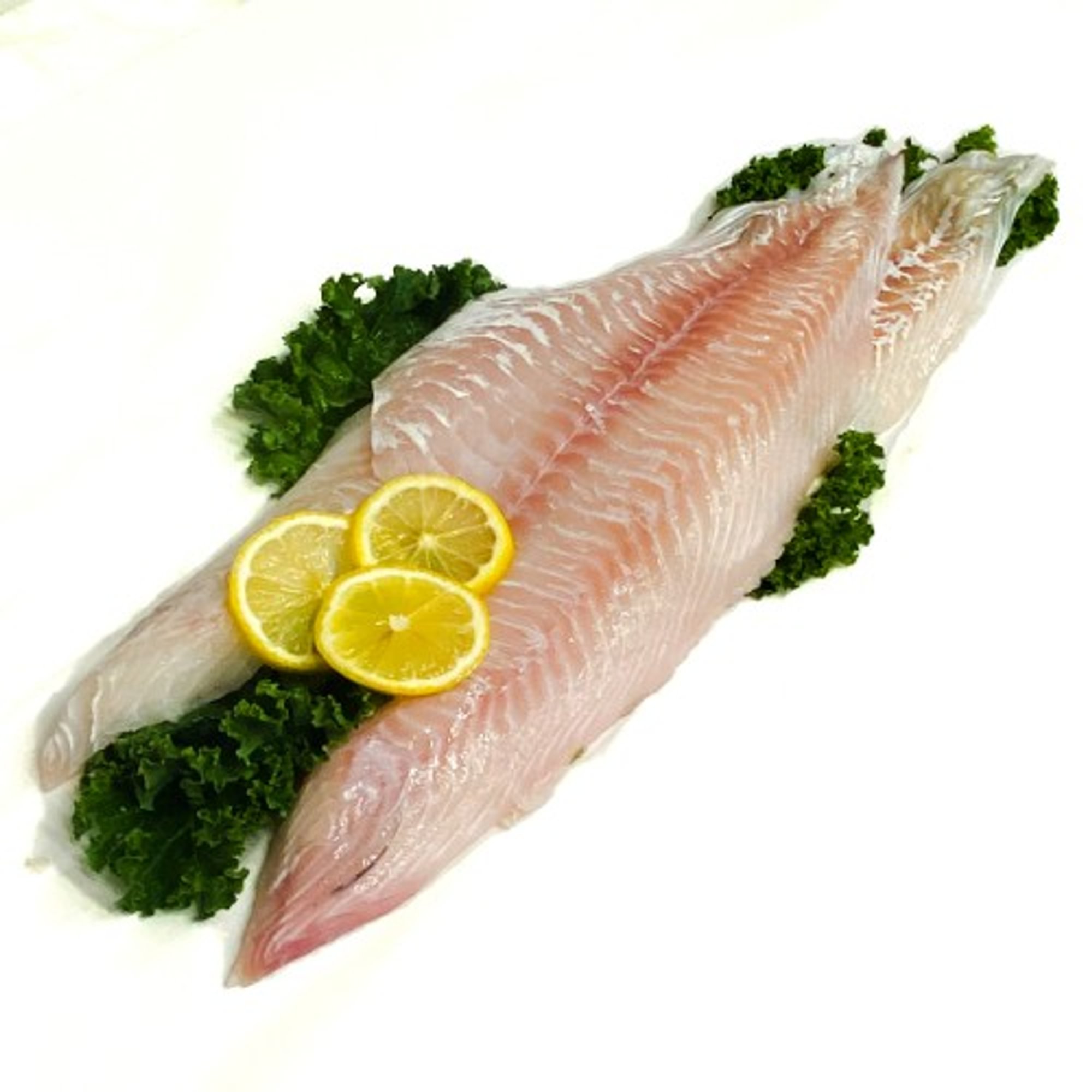 Haddock