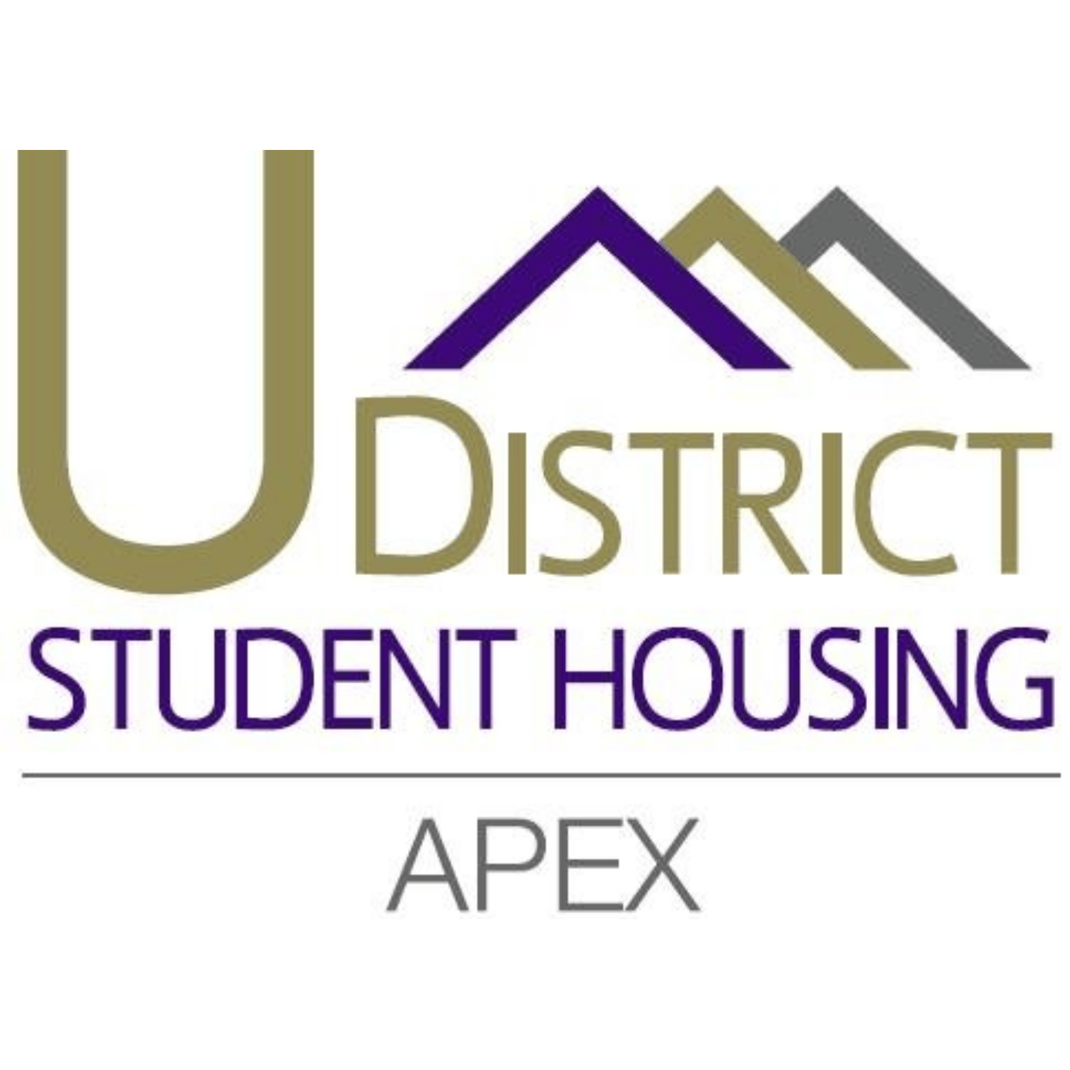 U-District Student Housing: Apex Apartments