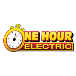 One Hour Electric
