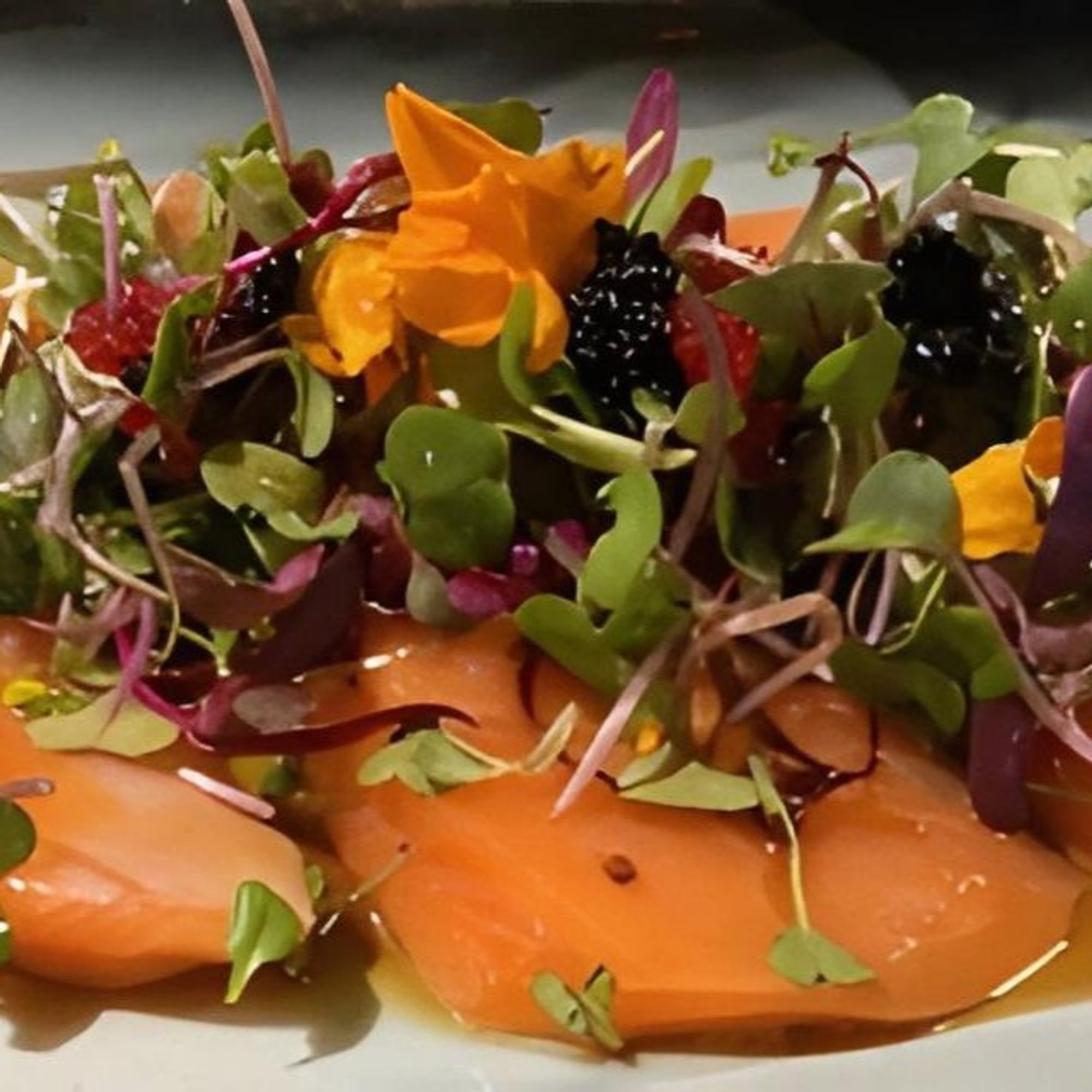 Salmon Carpaccio