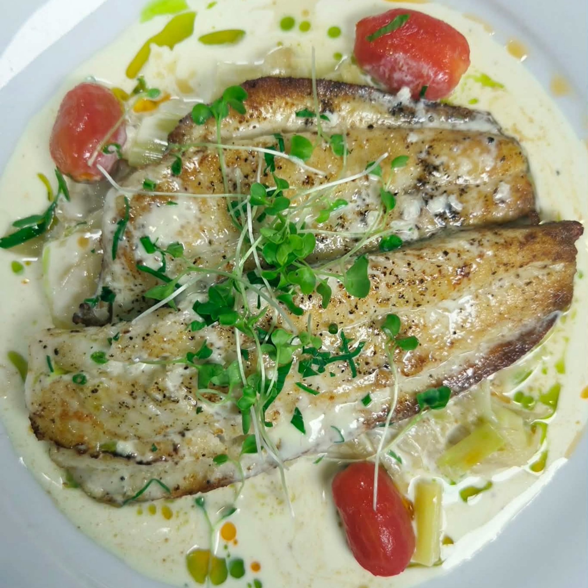 LEMON SOLE