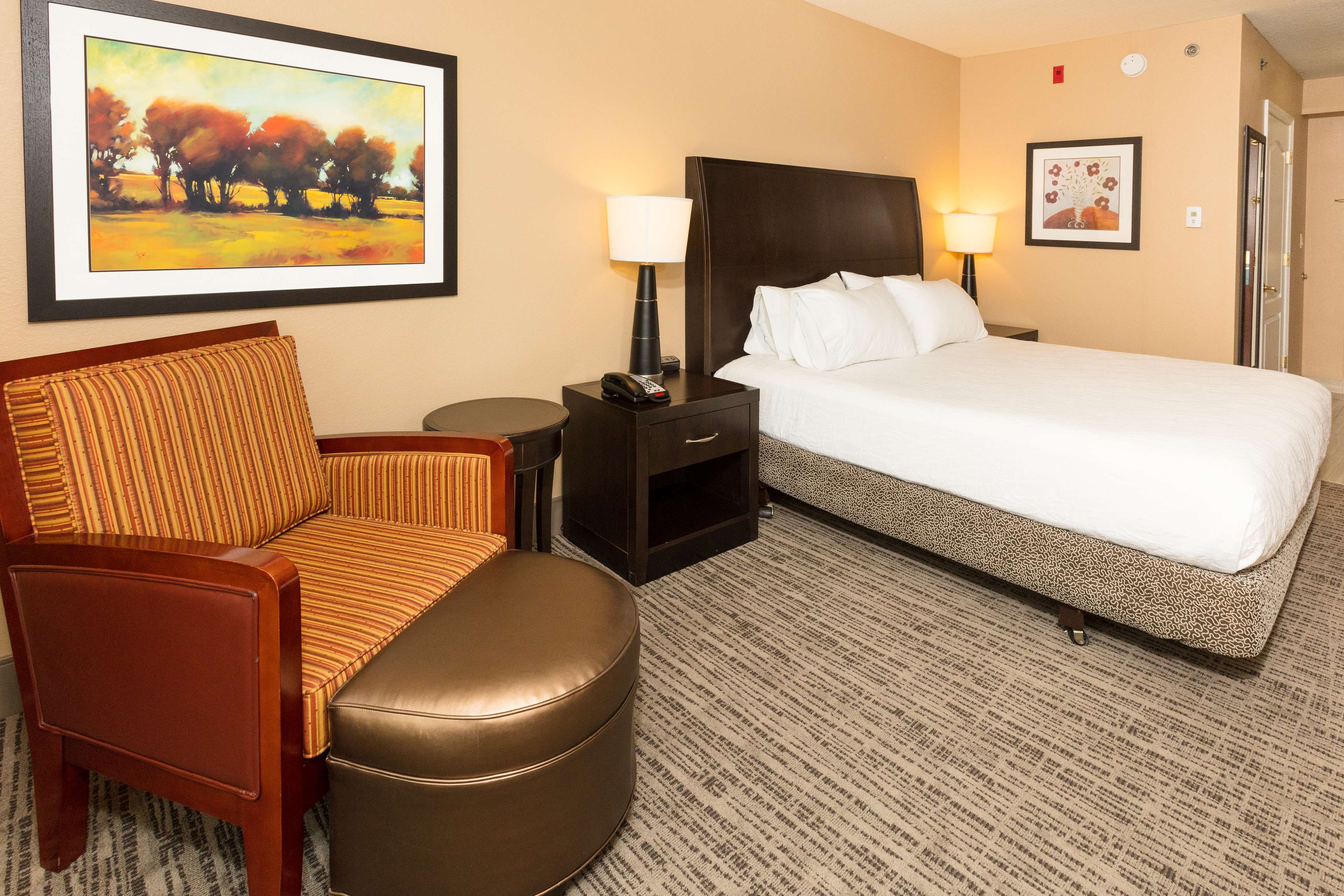 Hilton Garden Inn Jacksonville Airport Photo