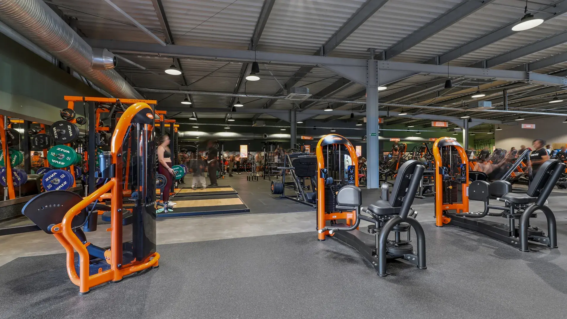 Miniature de la galerie