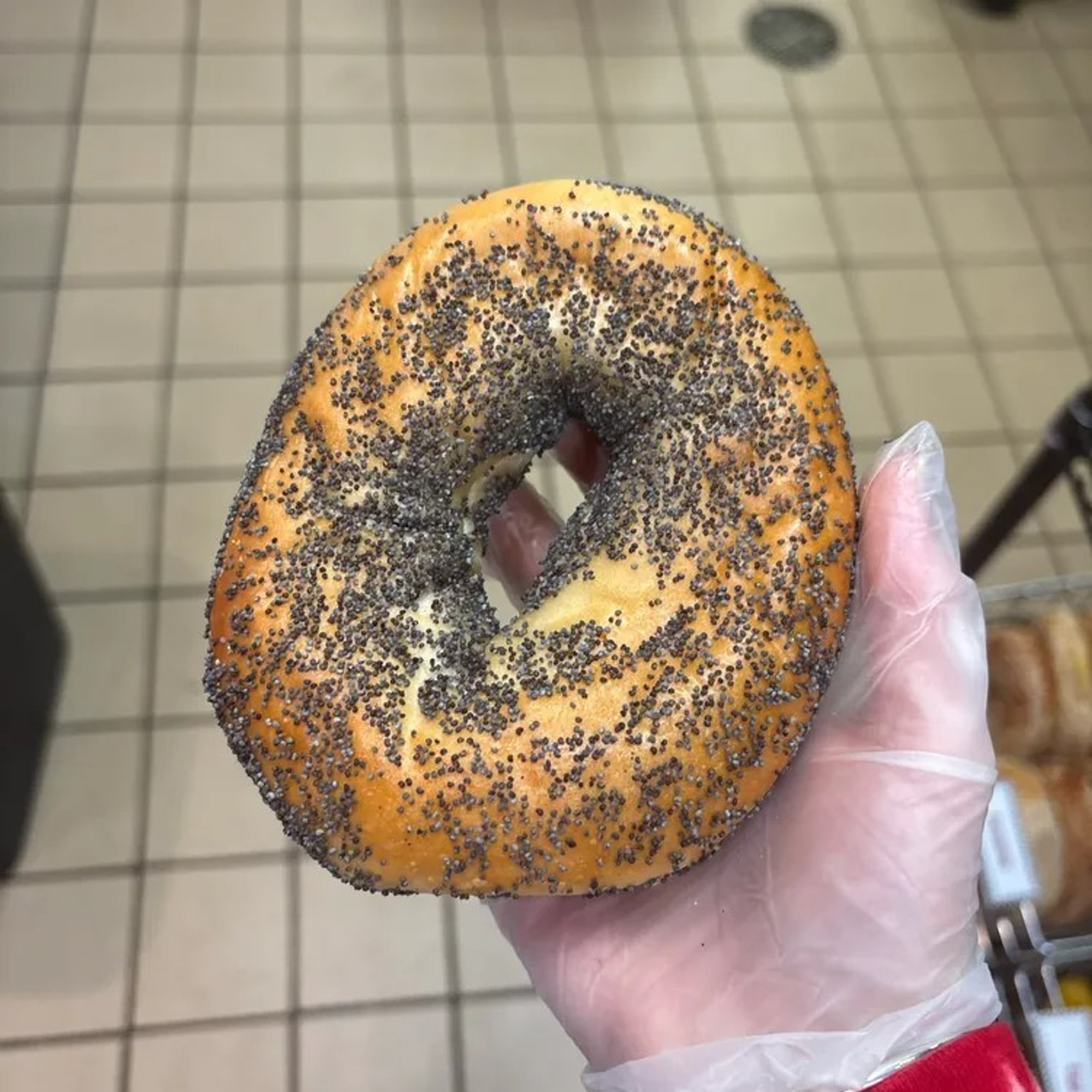 Poppy Bagel