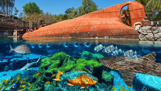 Disney's Typhoon Lagoon Water Park Photo