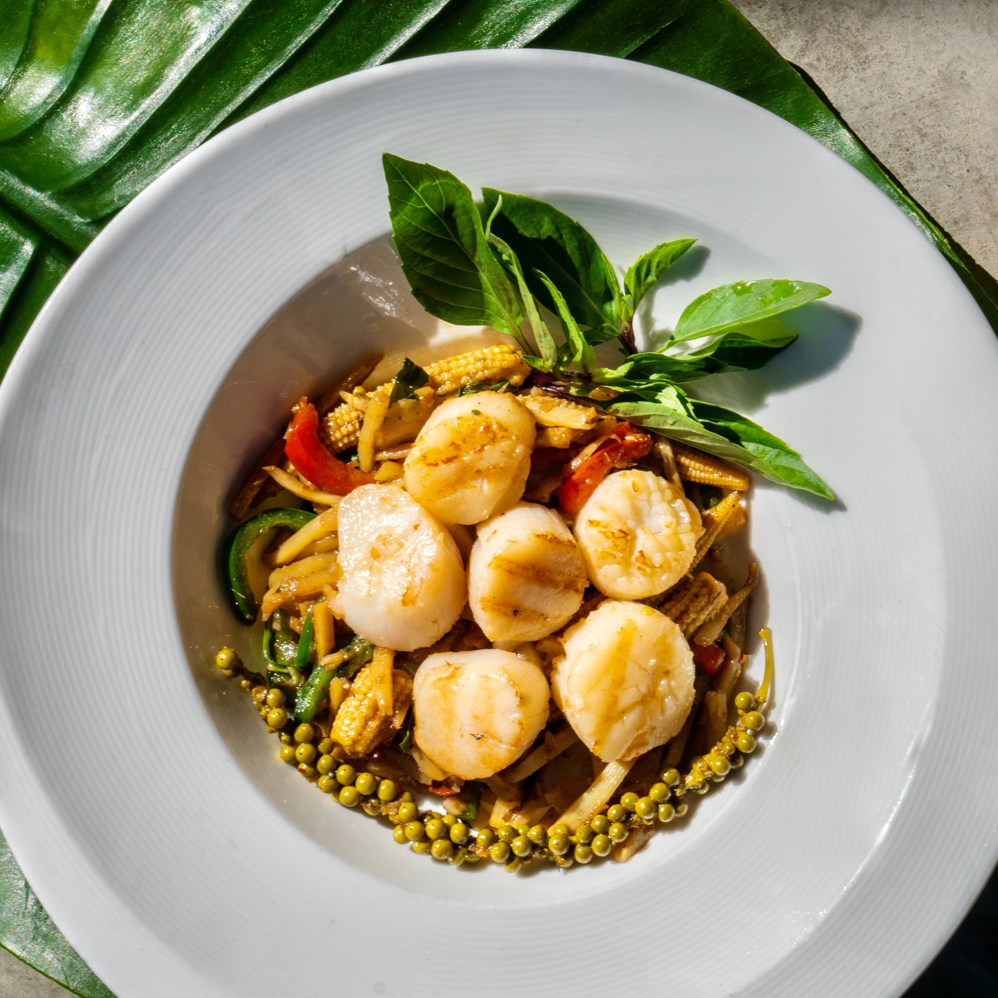 Scallops Wild Bangkok