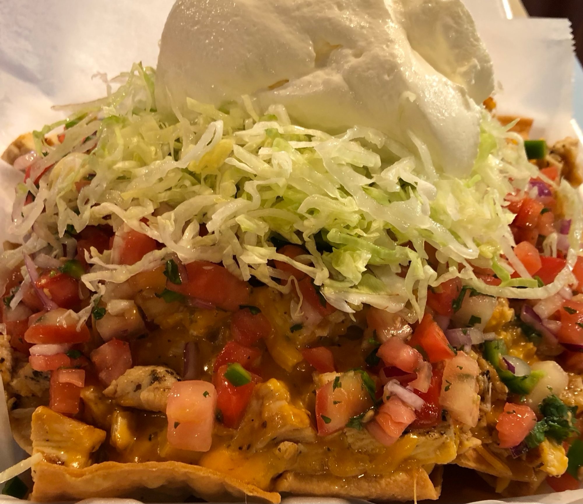 Loaded Nachos