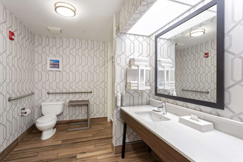 Hampton Inn Buffalo South/I-90 Image