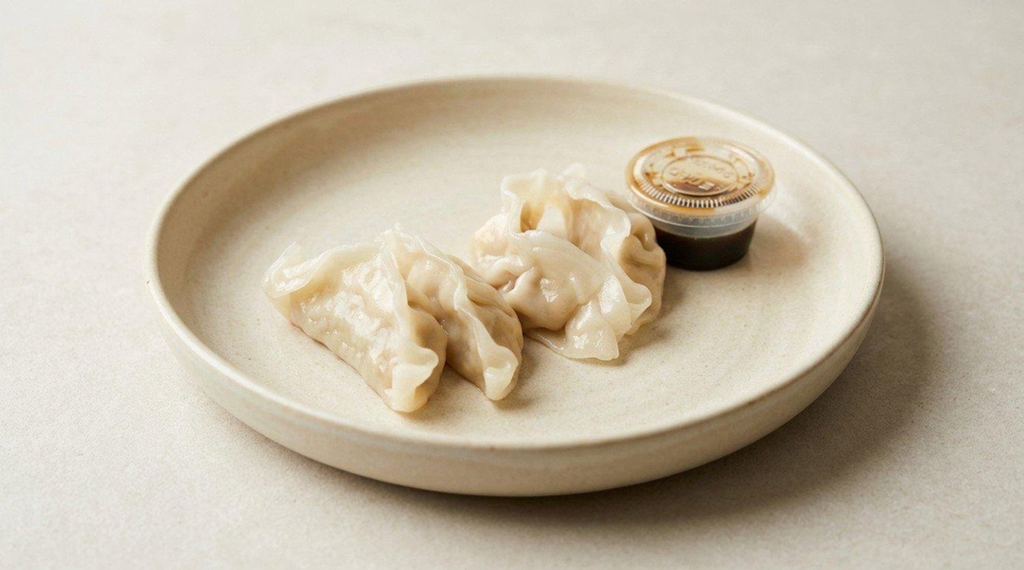 Chicken Dumplings
