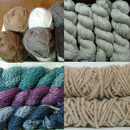 Blue Mesa Alpacas Image