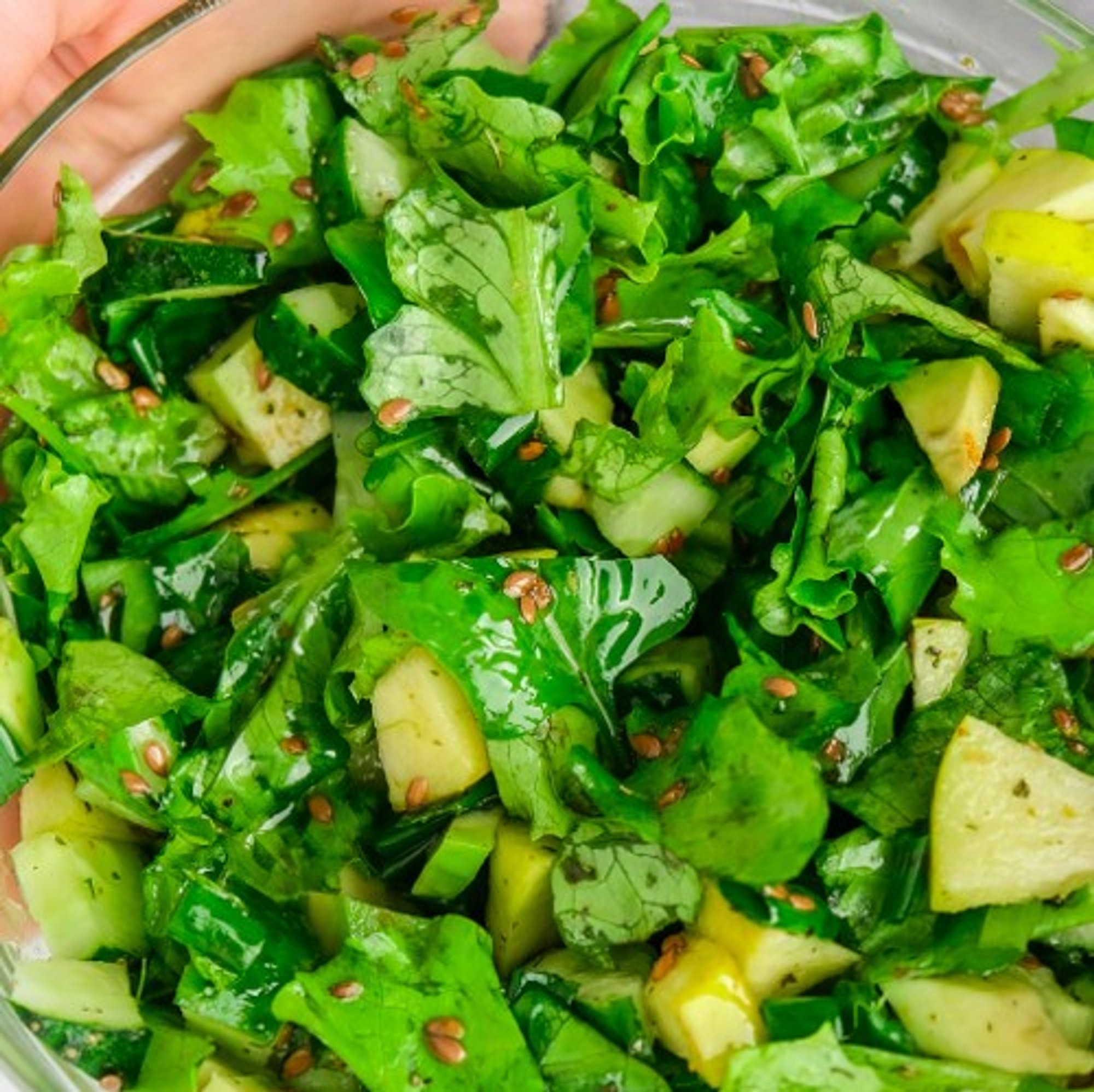 Fresh Green Salad