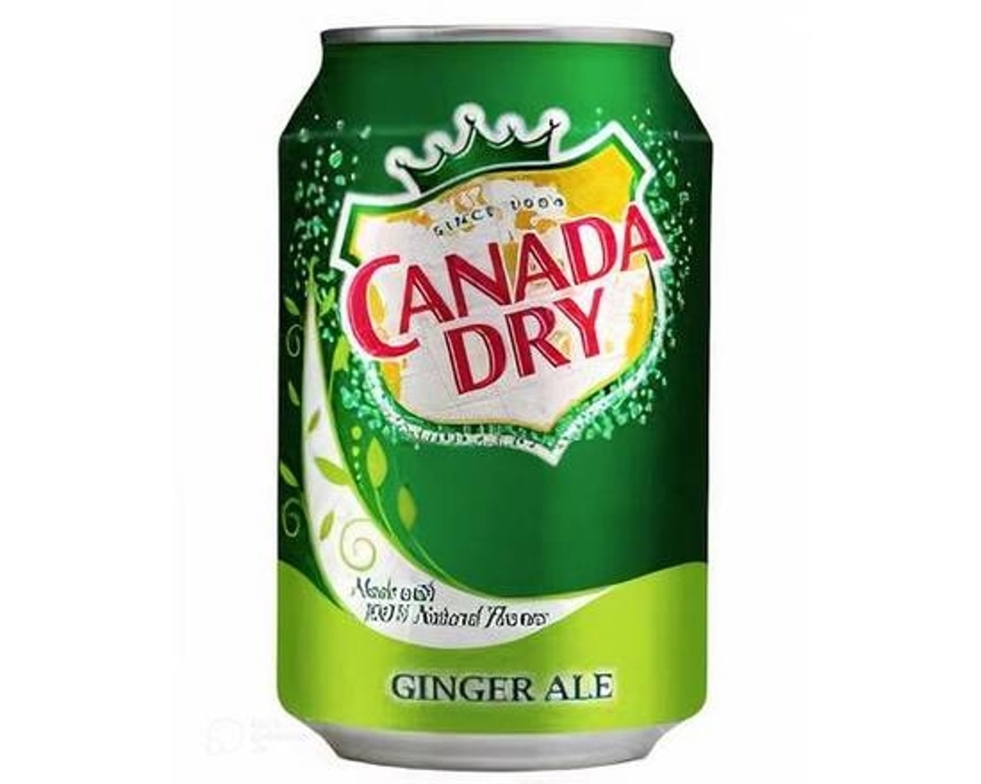 Canada Dry Ginger Ale