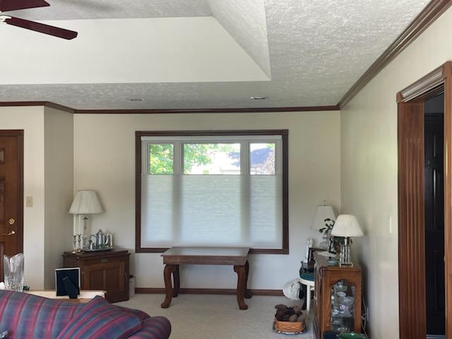 Need a simple look that filters light and gives you lots of versatility? Check out our Cellular Shades, featured in this Plainfield home! They're simple and beautiful-and you can raise the bottoms or drop the tops!  BudgetBlindsPlainfieldIN  PlainfieldIN  CellularShades  TopDownBottomUpShades  FreeC