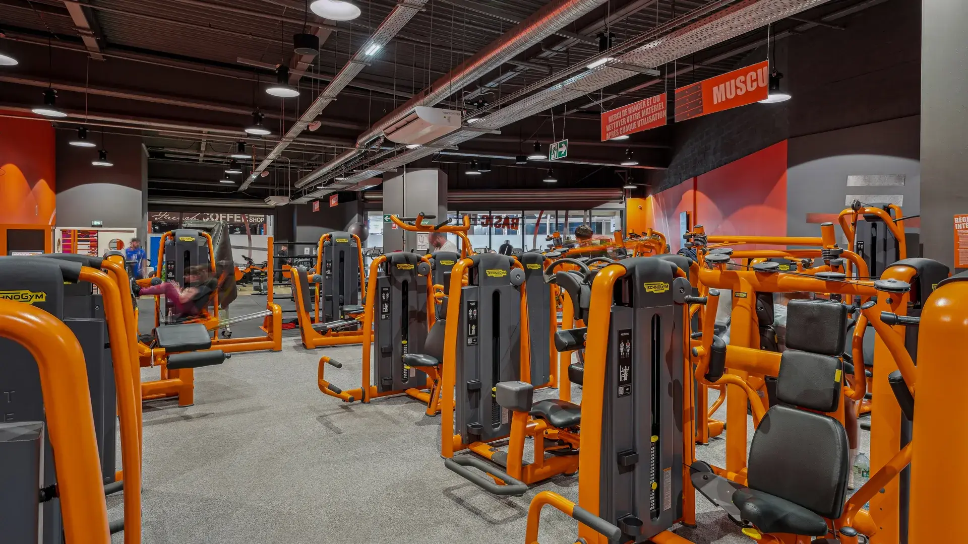 Miniature de la galerie