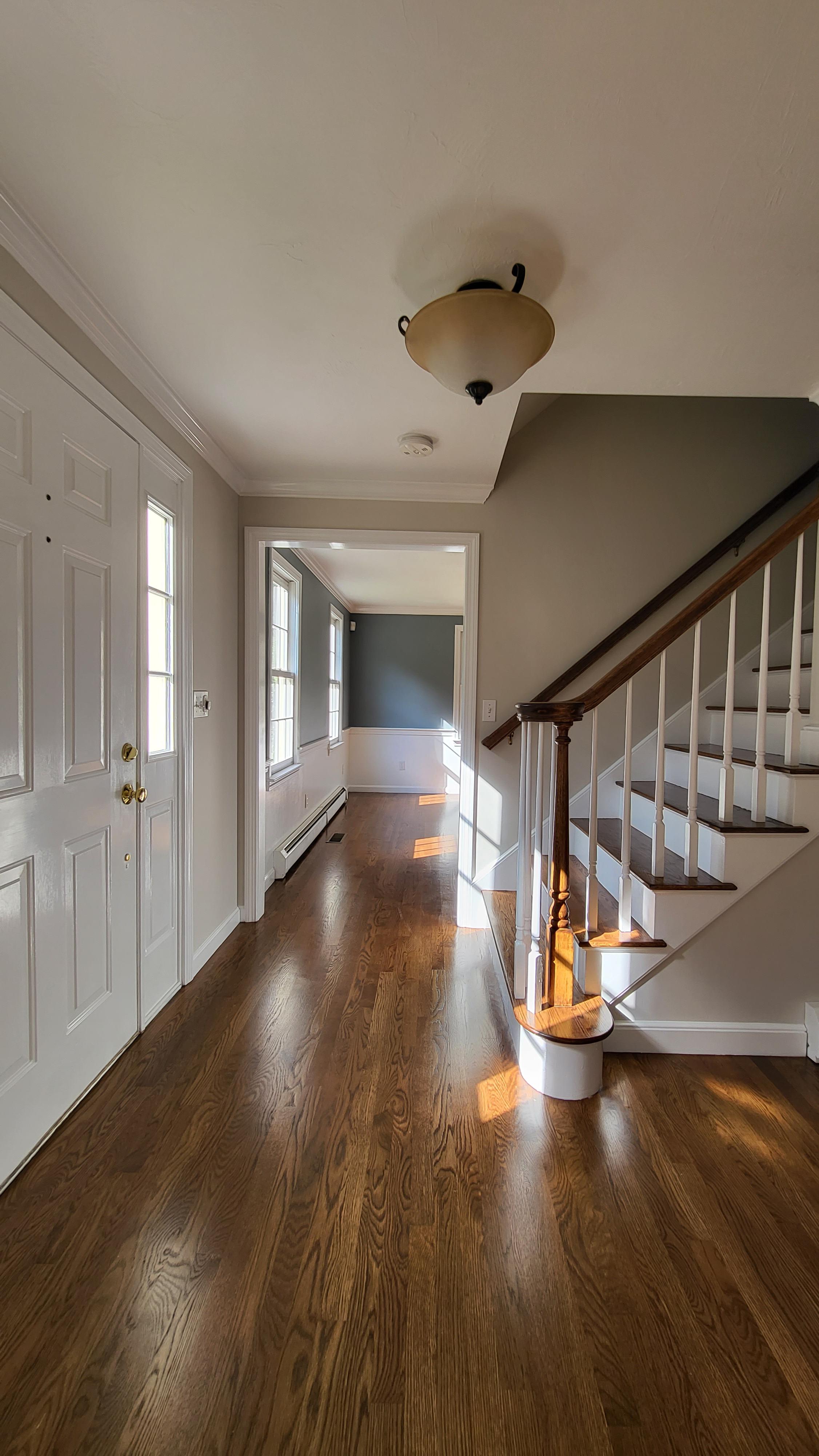 Rainmaker Painting Image