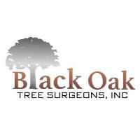 Black Oak Tree Surgeons Inc Logo