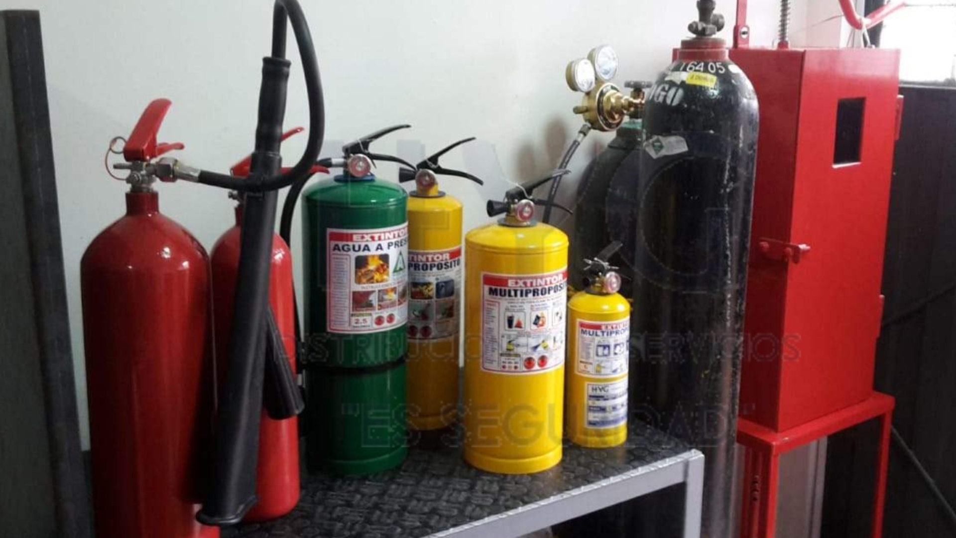 Galería en miniatura