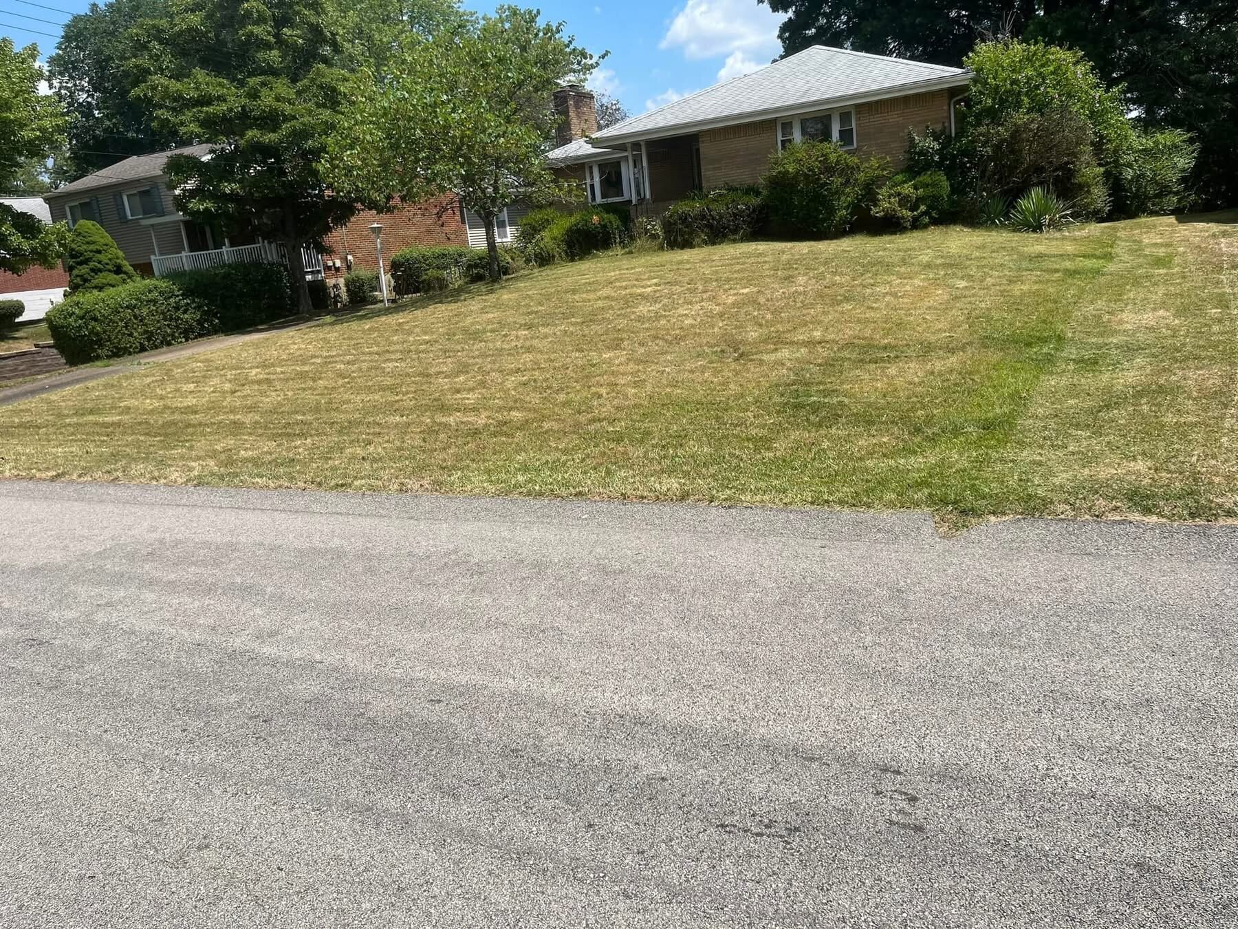 Gabriel Landscaping Image