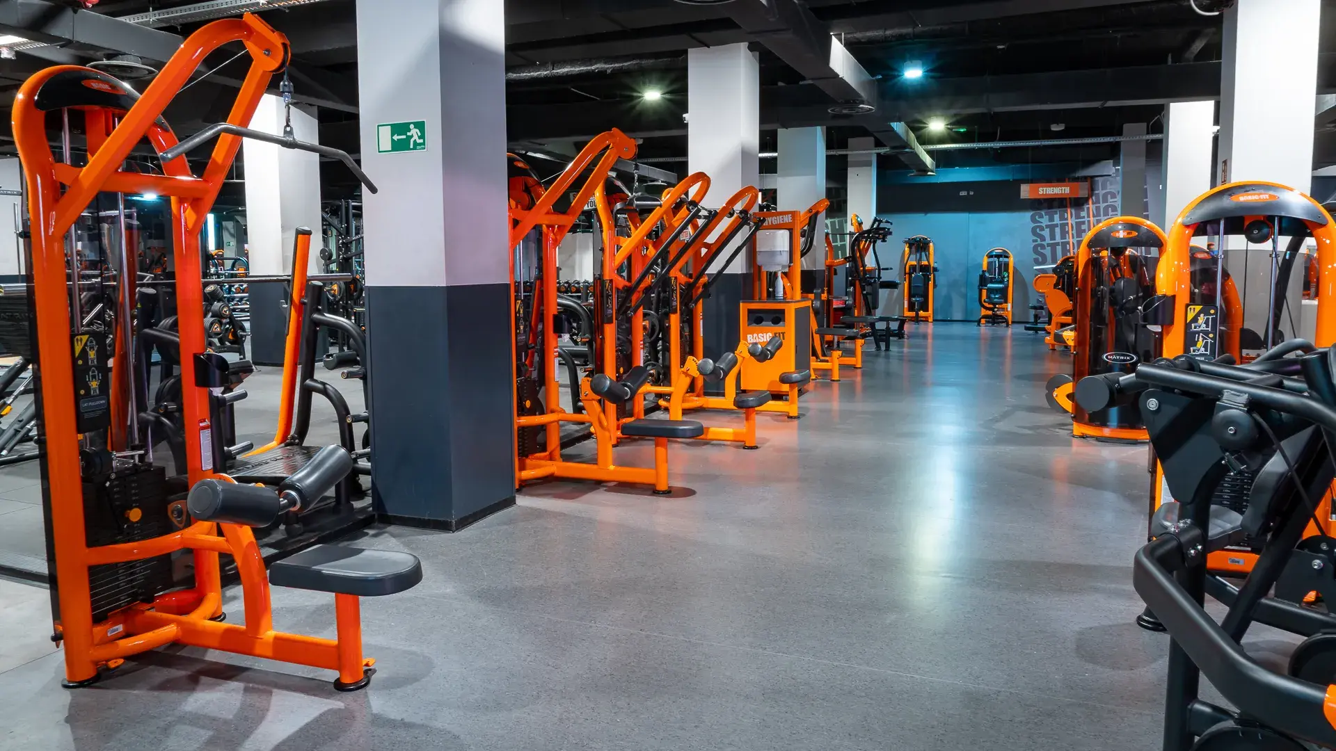 Galería de imágenes