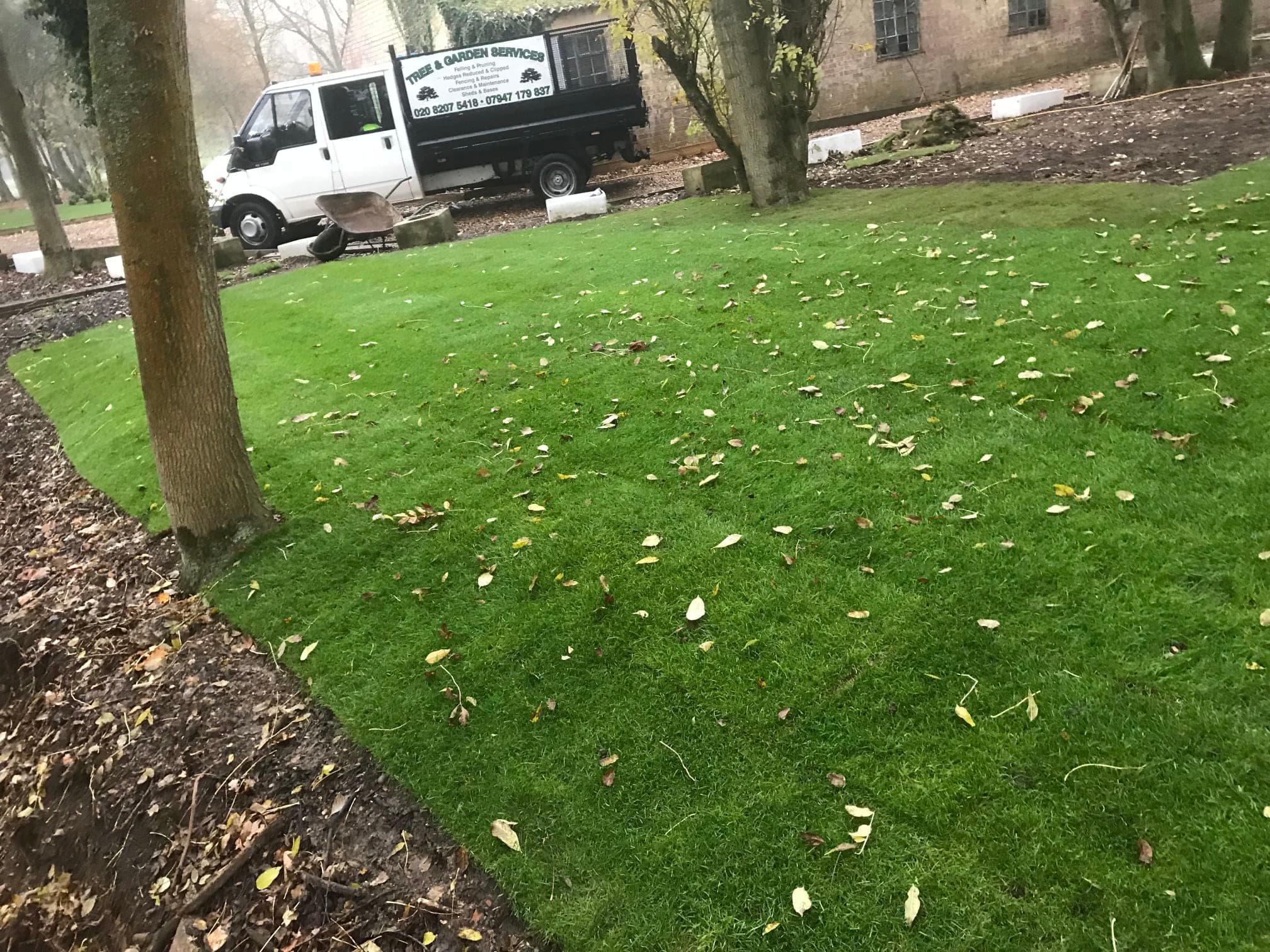 Images Tree & Garden Services