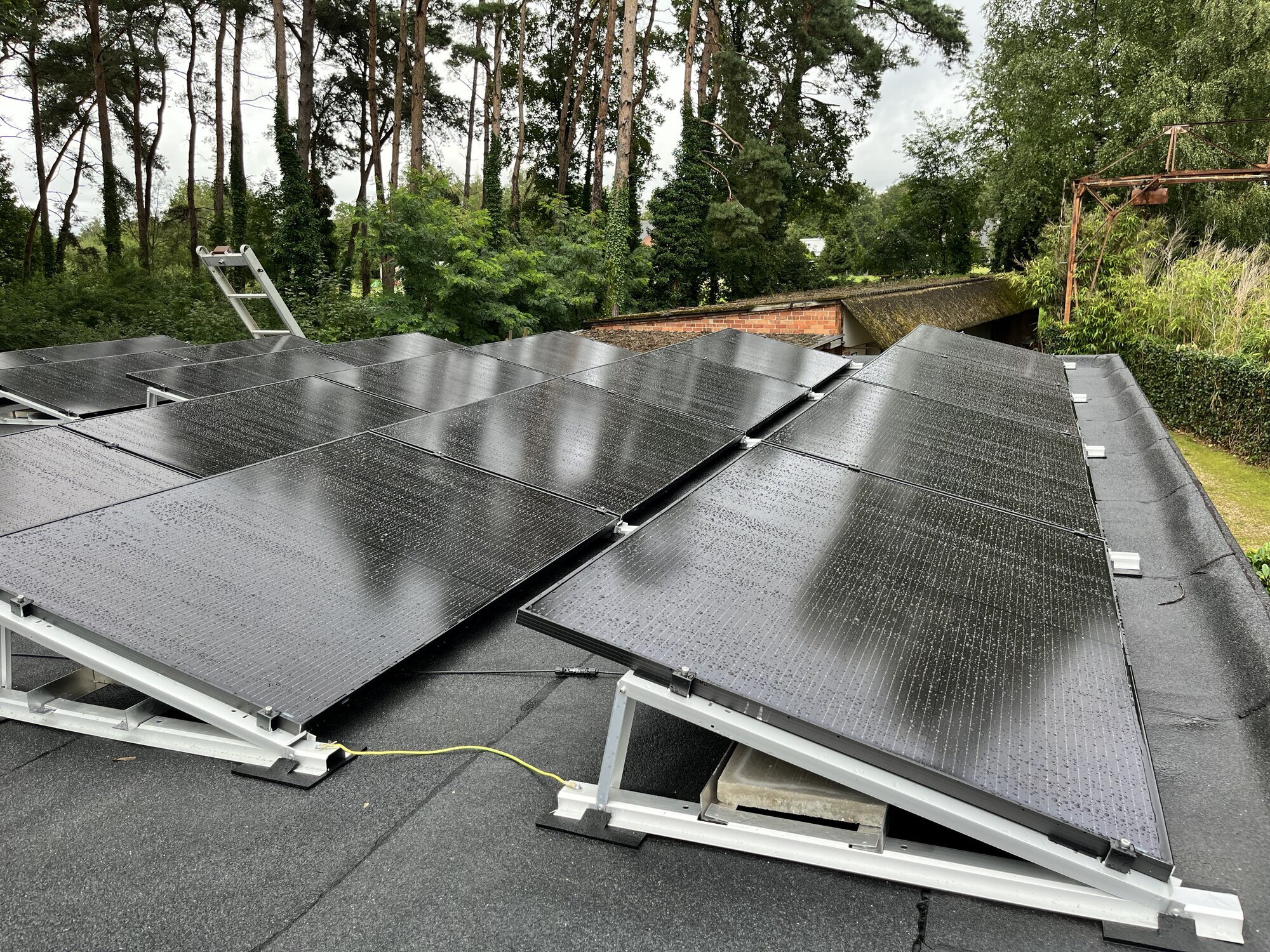 Miniature de la galerie