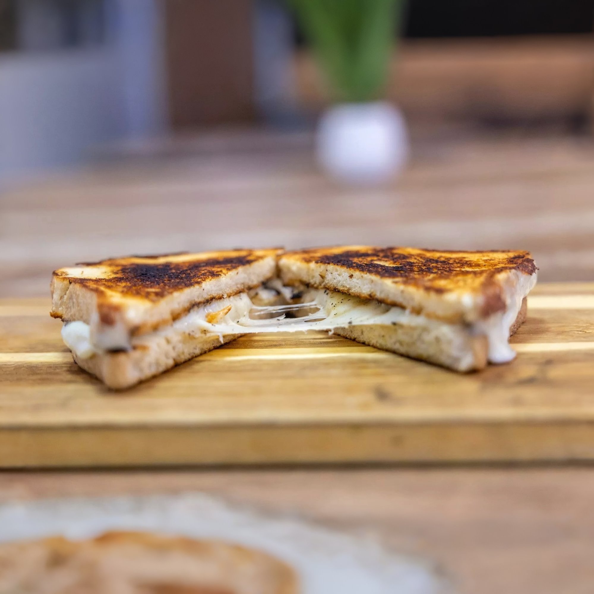 Grilled Cheese Panini