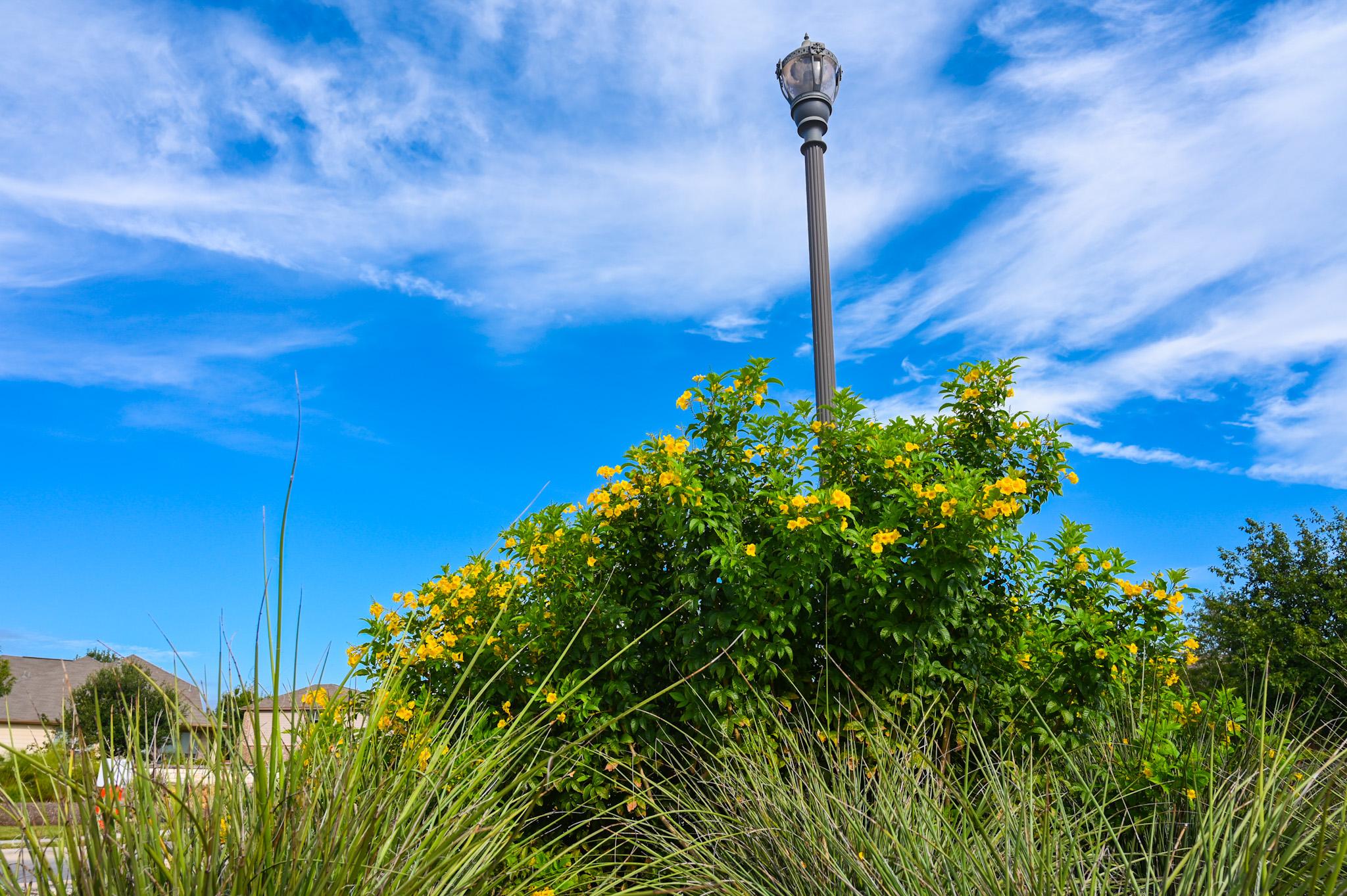 Maldonado Nursery & Landscaping, Inc. Image