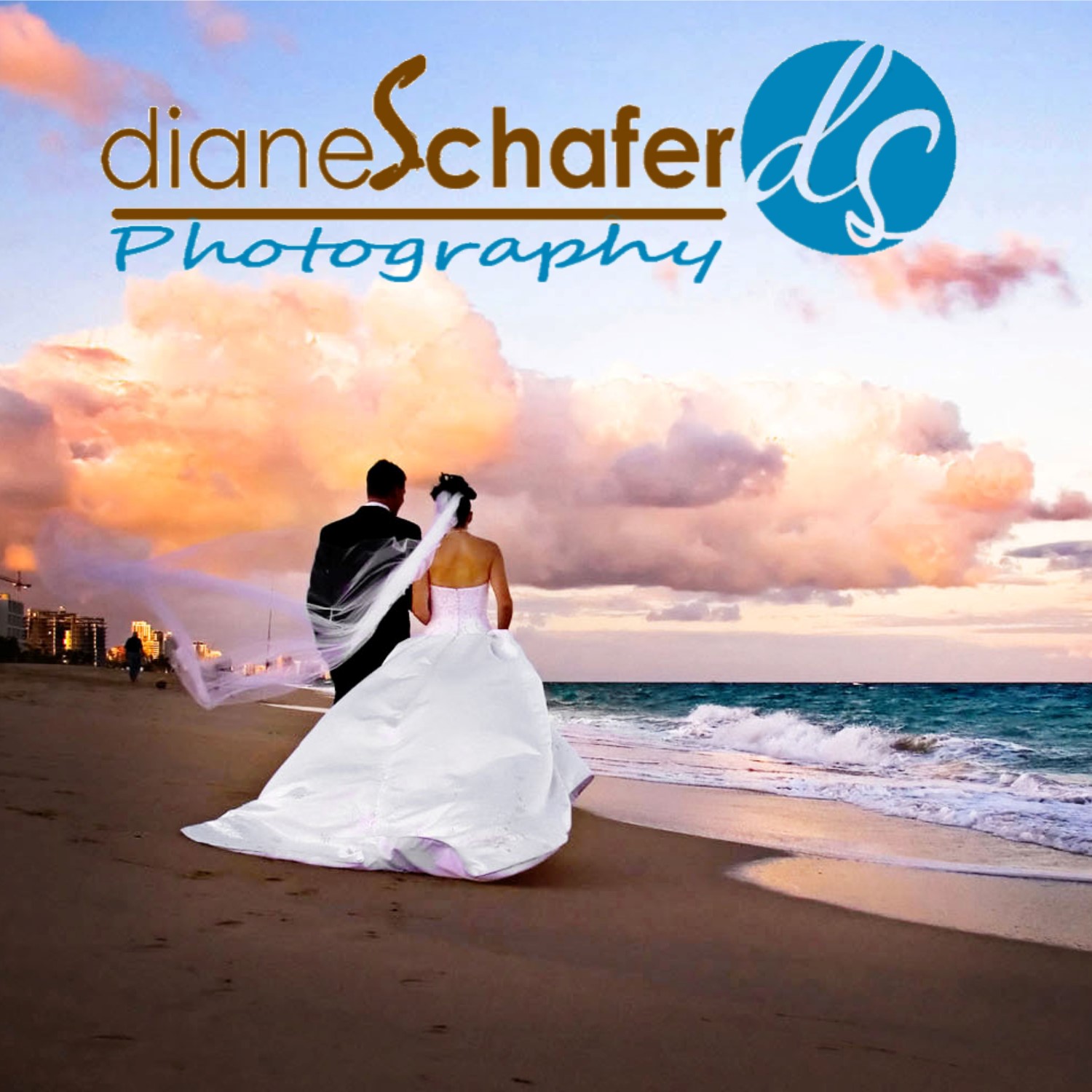 Diane Schafer Photography Logo