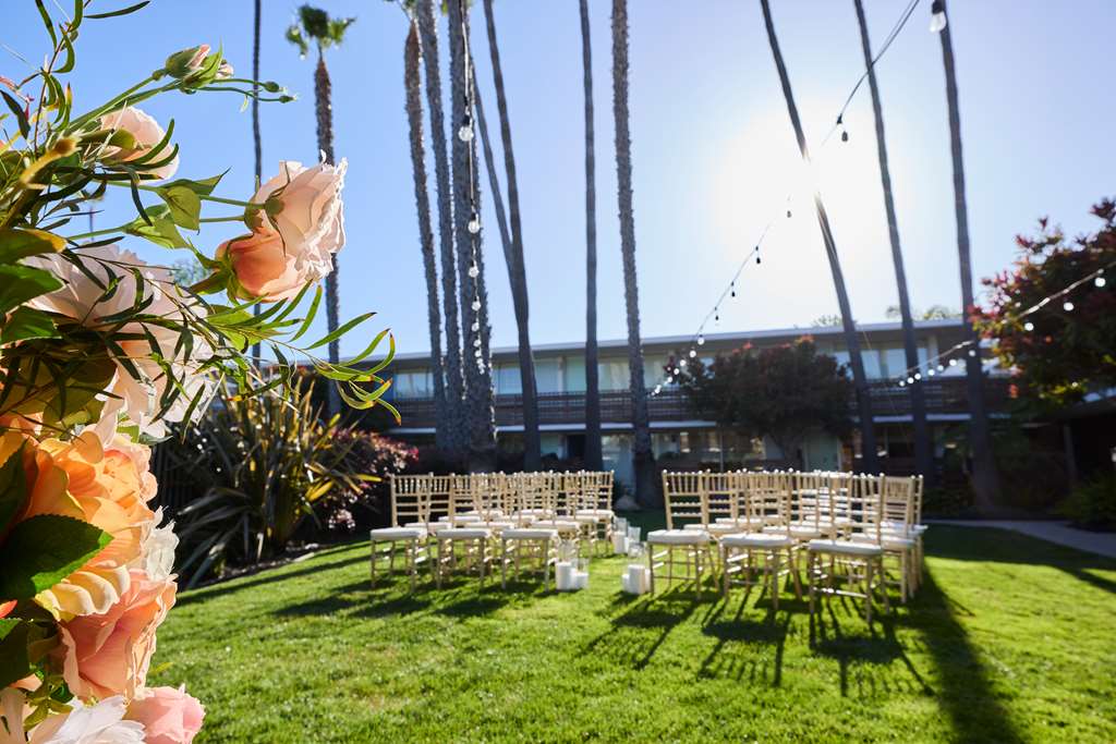 The Leta Santa Barbara Goleta, Tapestry Collection by Hilton Image