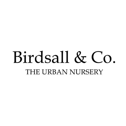 Birdsall & Co. The Urban Nursery Photo
