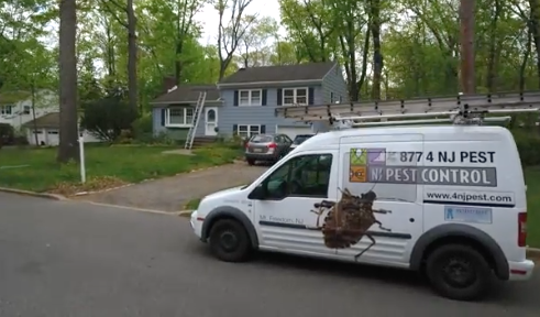 NJ Pest Control Image