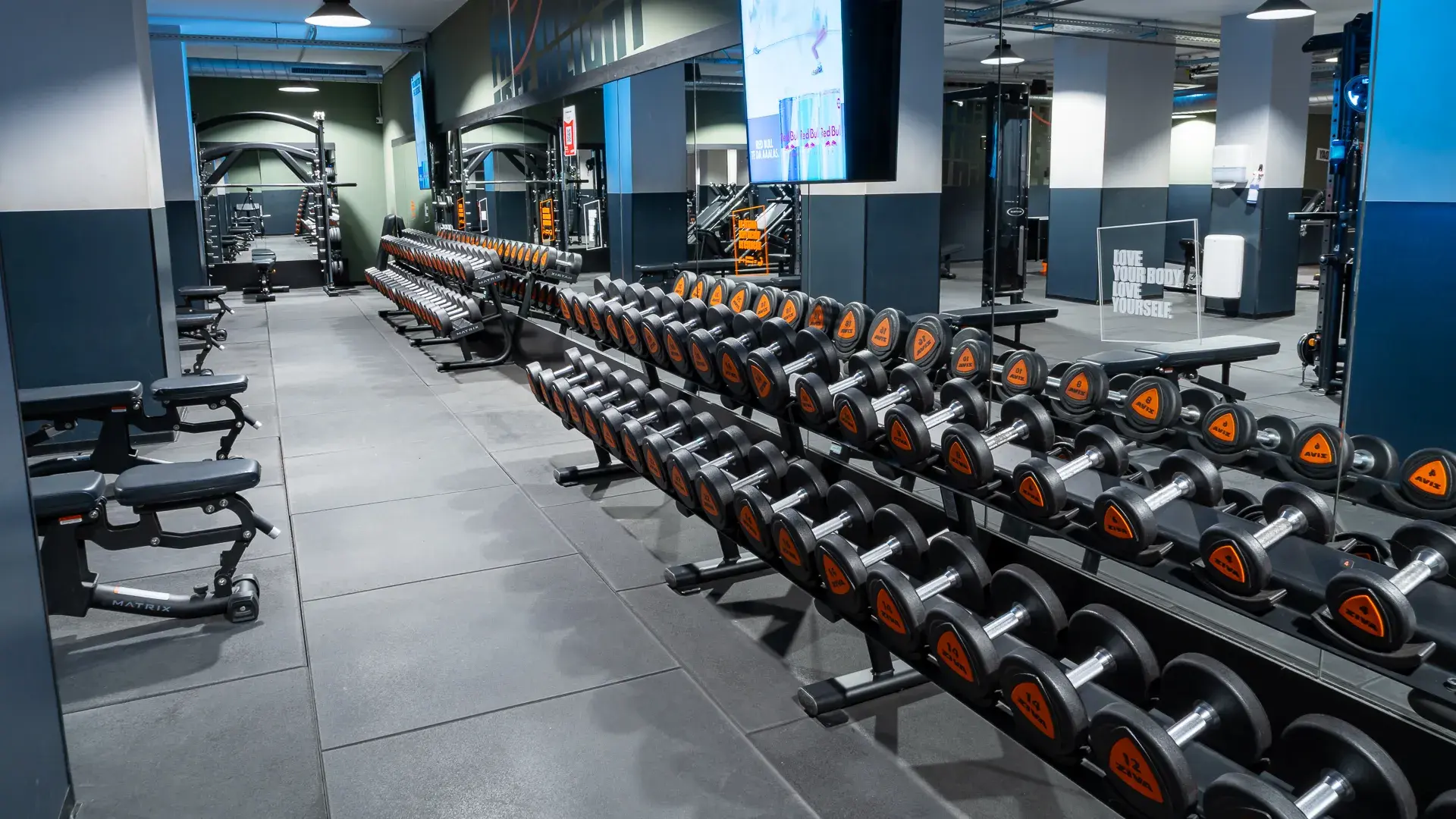 Galería en miniatura