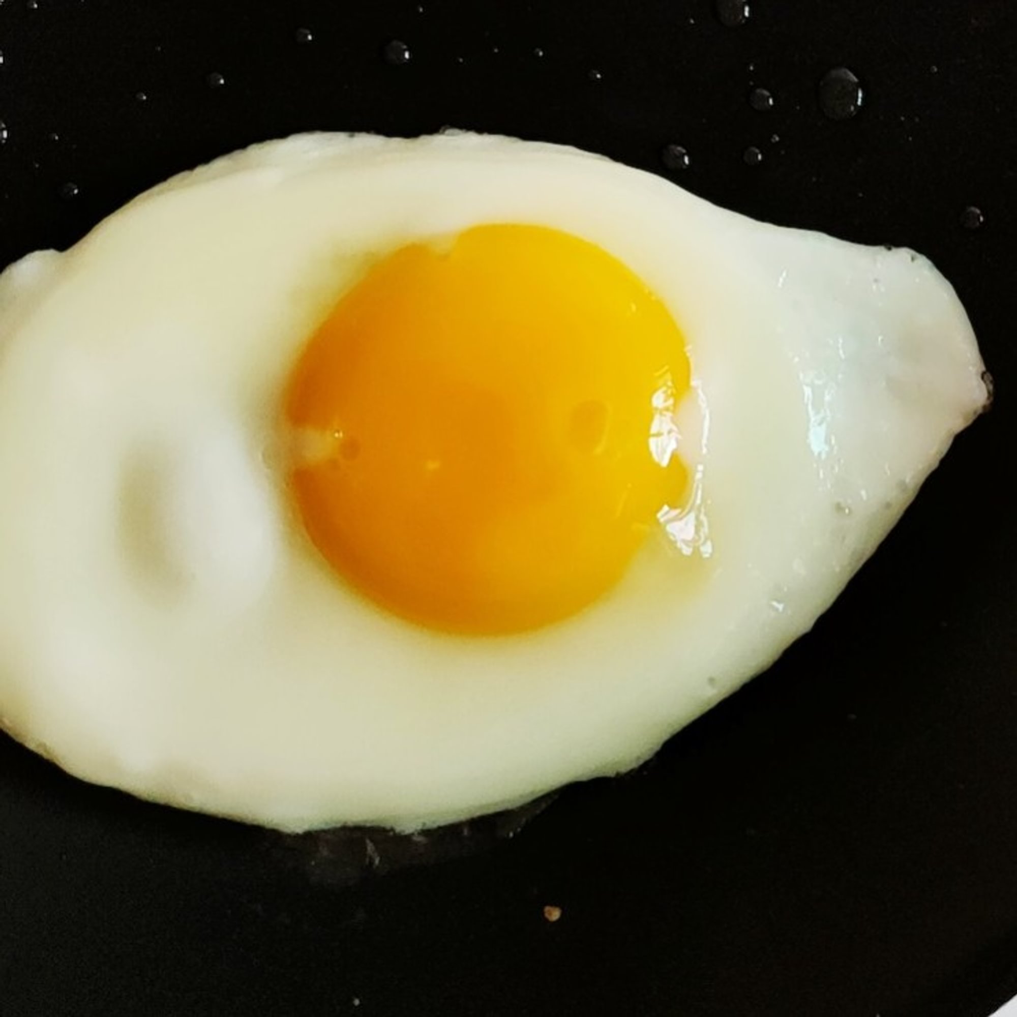 Egg (1) *