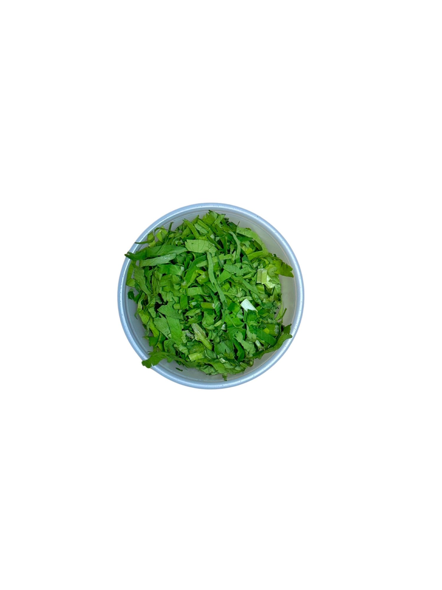 CILANTRO (2oz)