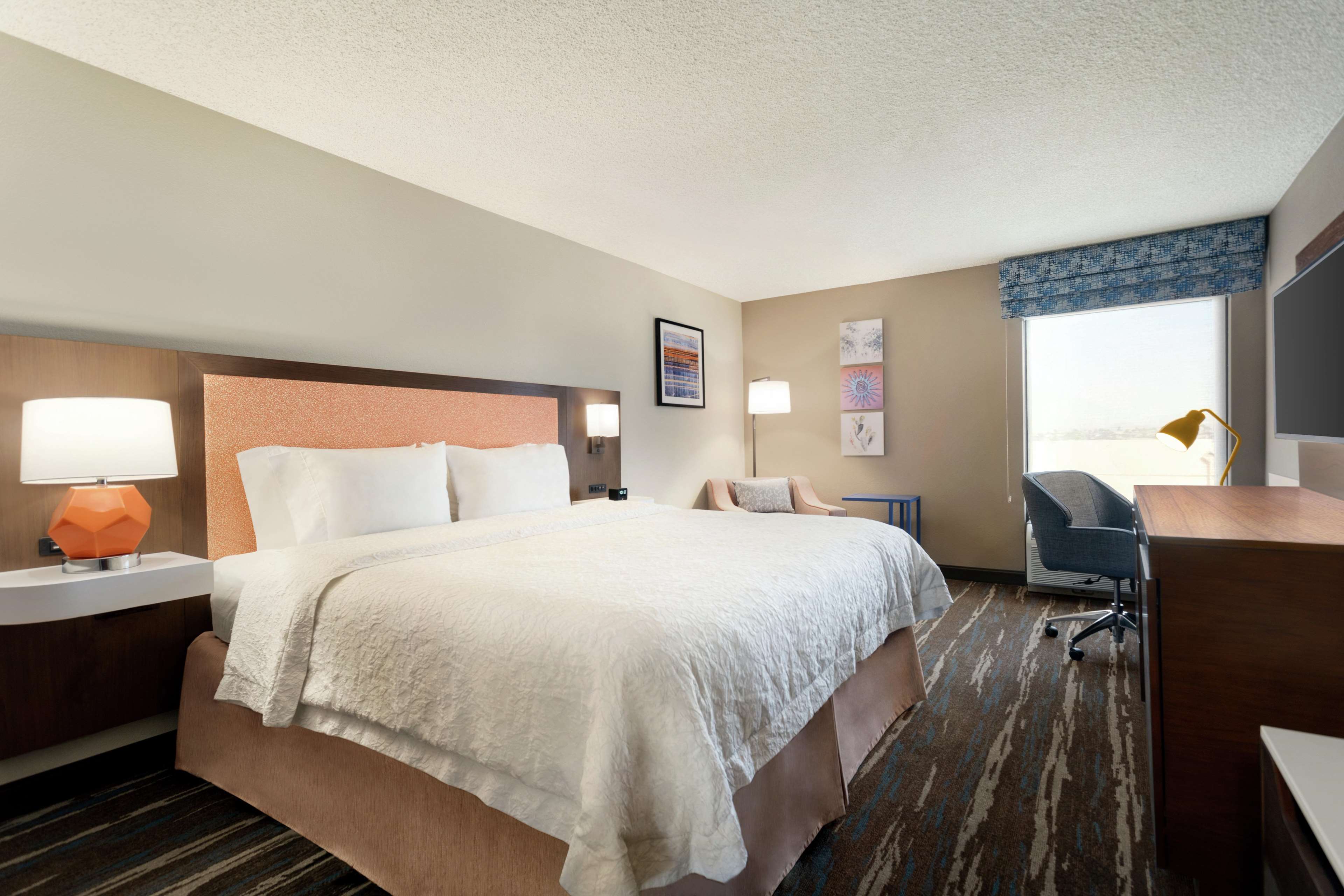 Hampton Inn Phoenix/Chandler Photo