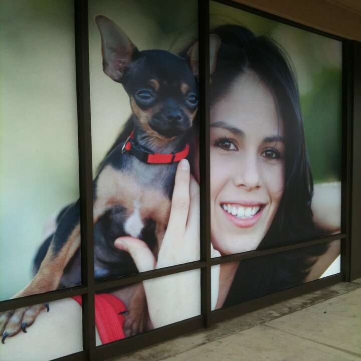 Pet Fun At Harden Ranch Plaza Image