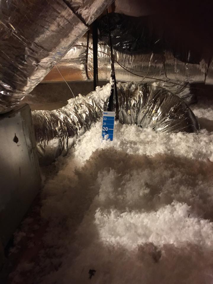 Complete Home Insulation Image