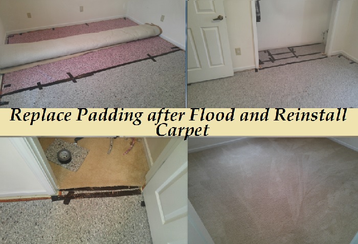All Colors Carpet Cleaning Indianapolis Stretching-Repairs Photo