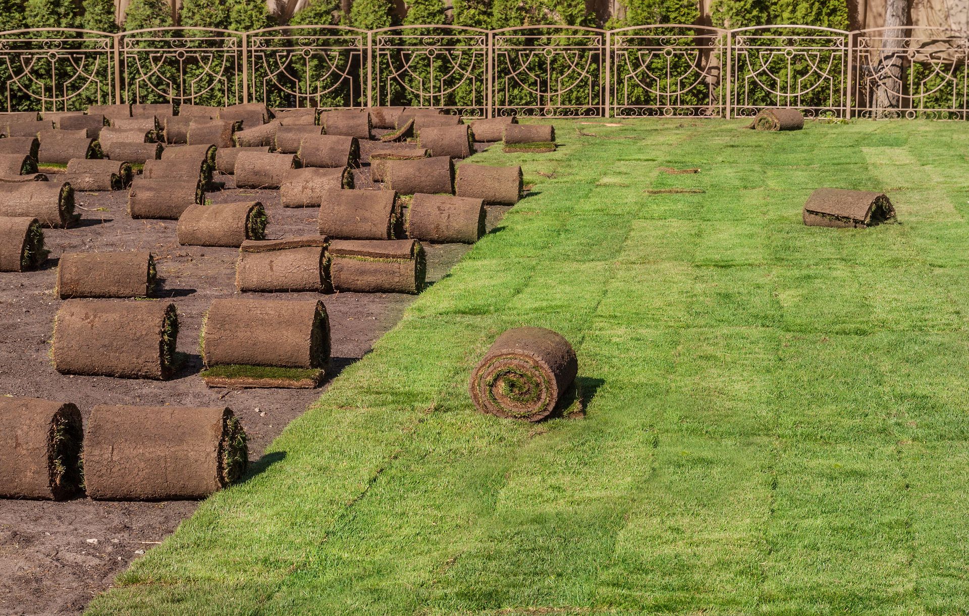 Lawn Installation Services