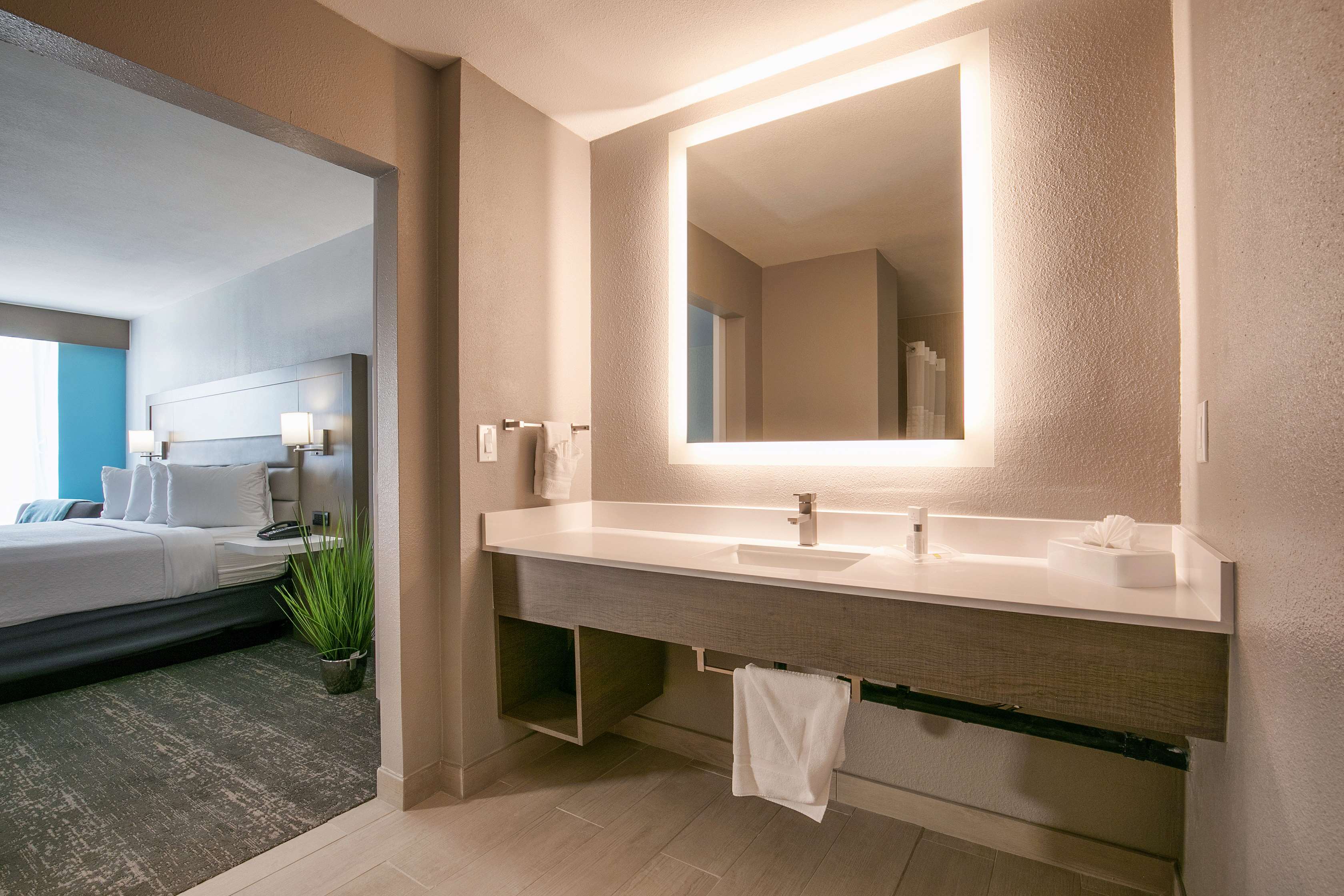 Single King Suite Bathroom