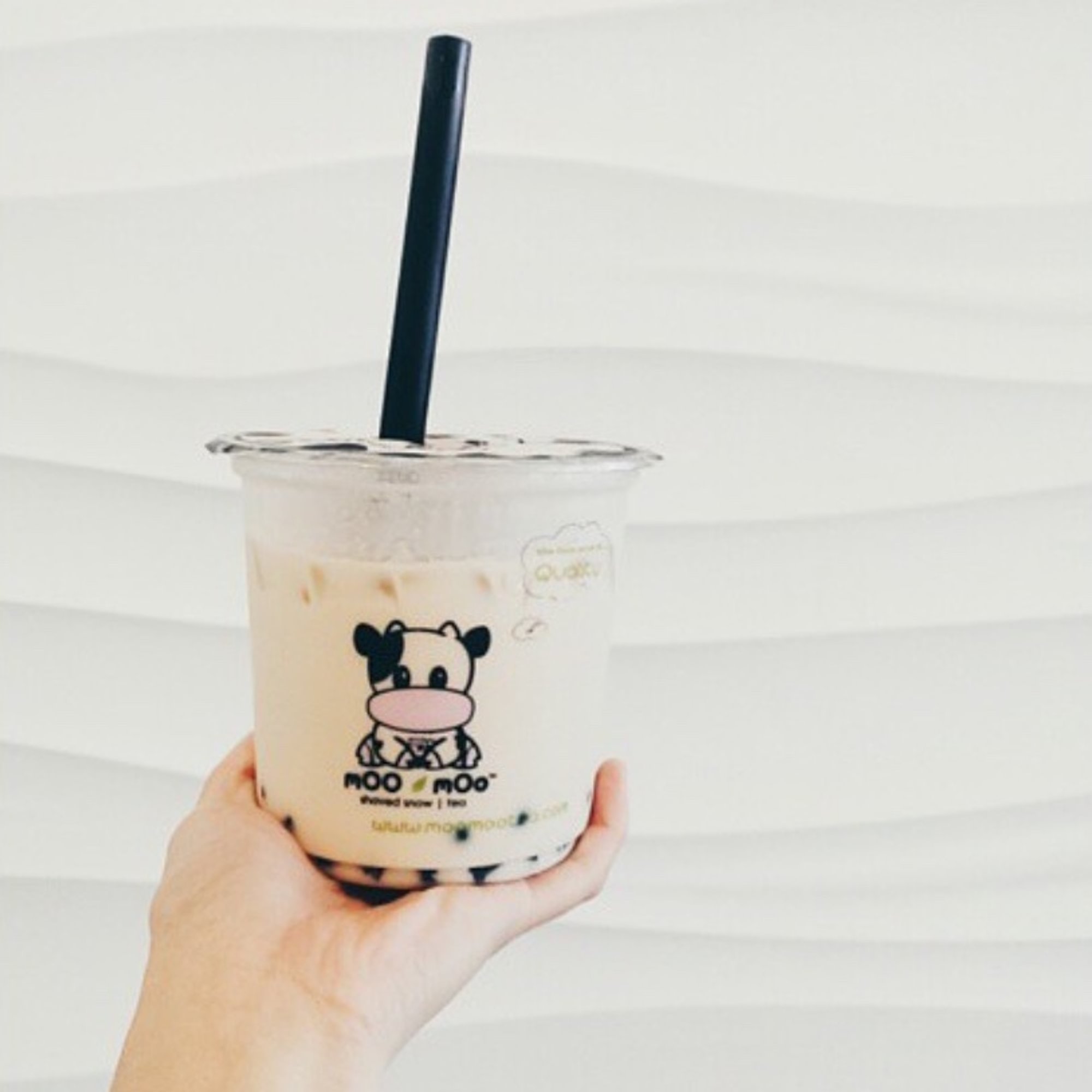 Coconut Milk Tea