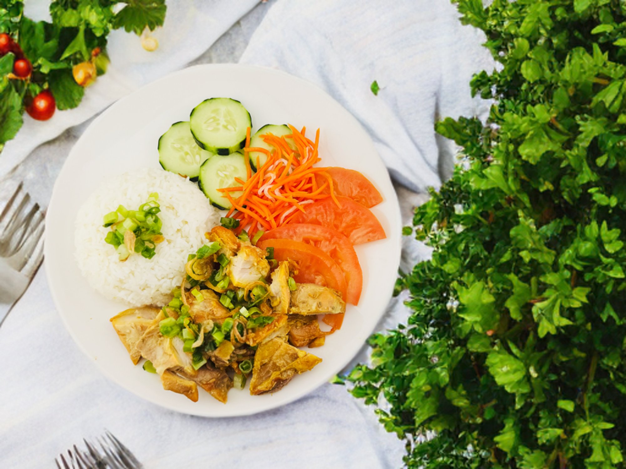 Grilled Chicken with Rice