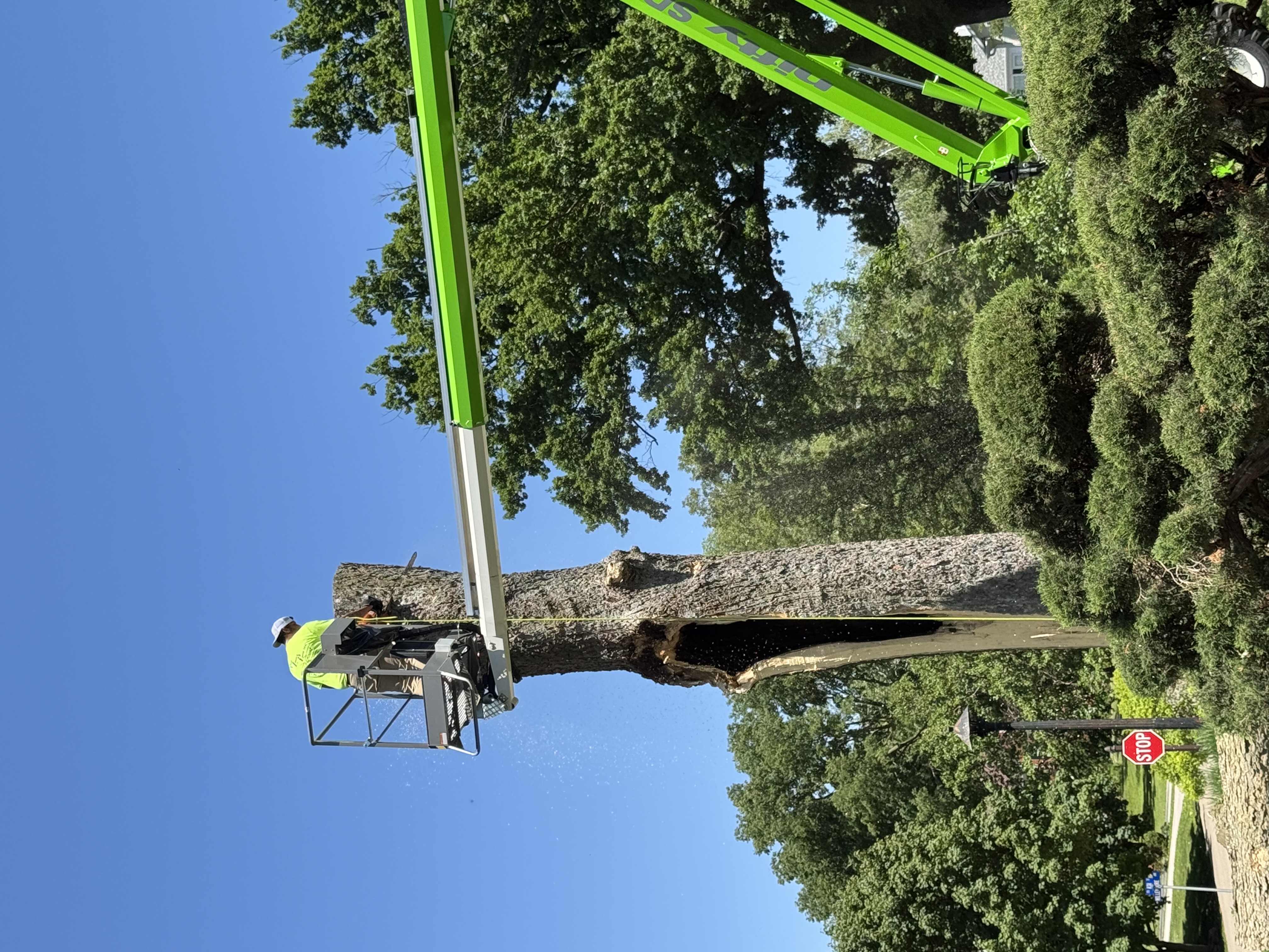 Reed Louis & Pierce Image