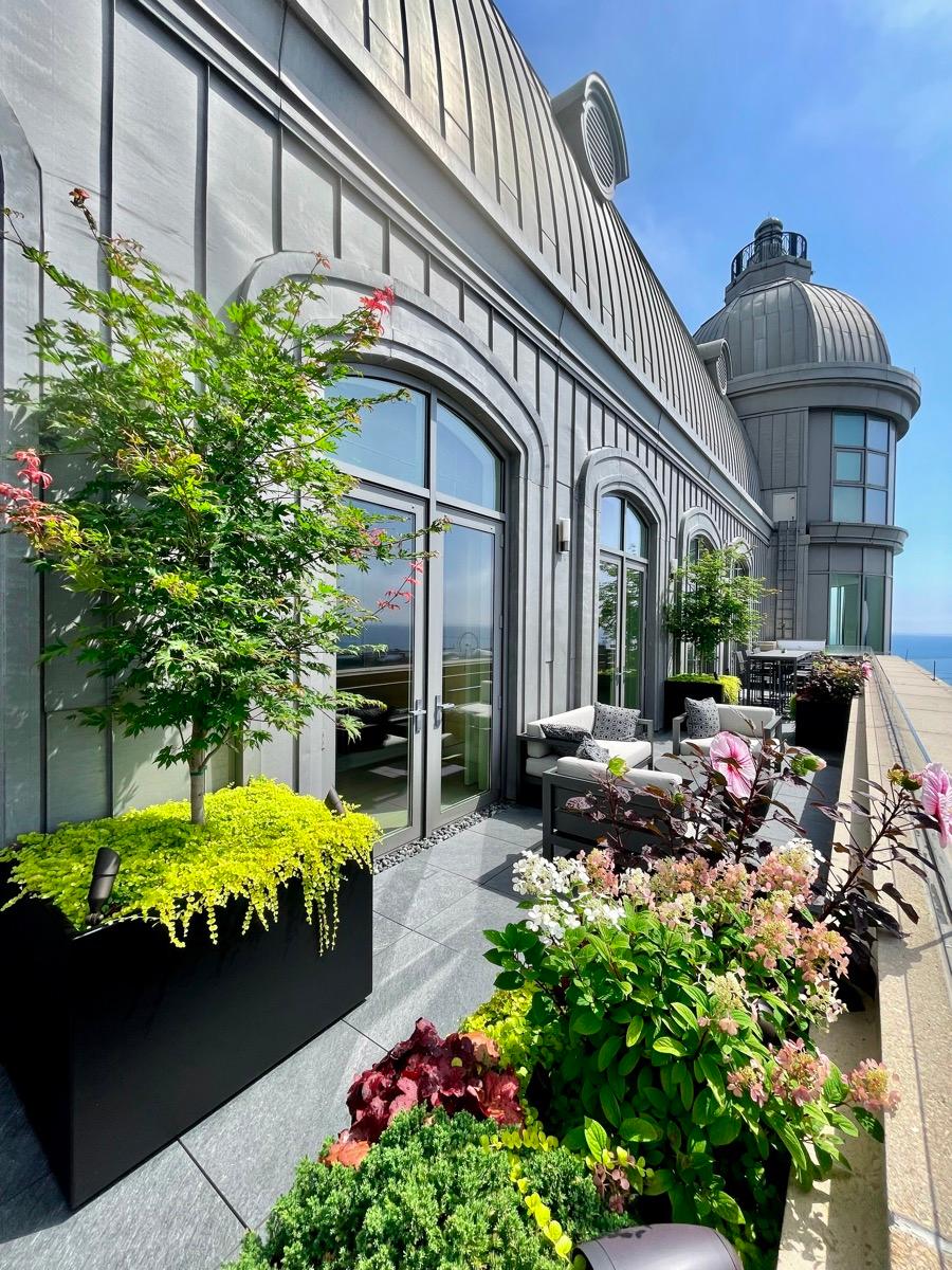 Botanical Concepts Chicago Image