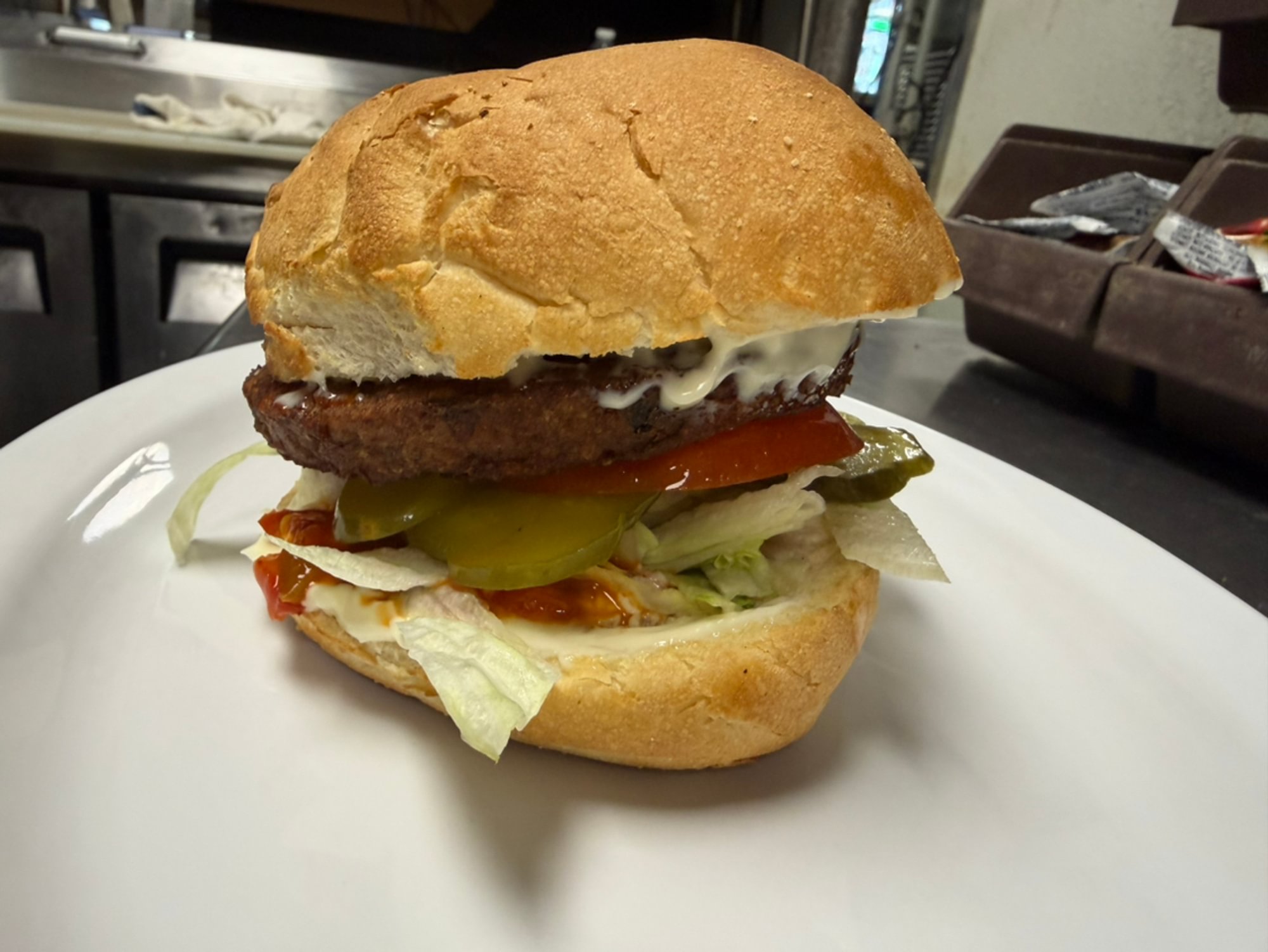 Veggie Burger Sandwich