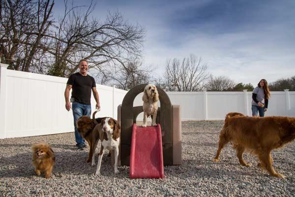 The facilities at Buddy's Doggie Day Care are meant to provide your pet with ample space in a fully-equipped climate controlled play area.