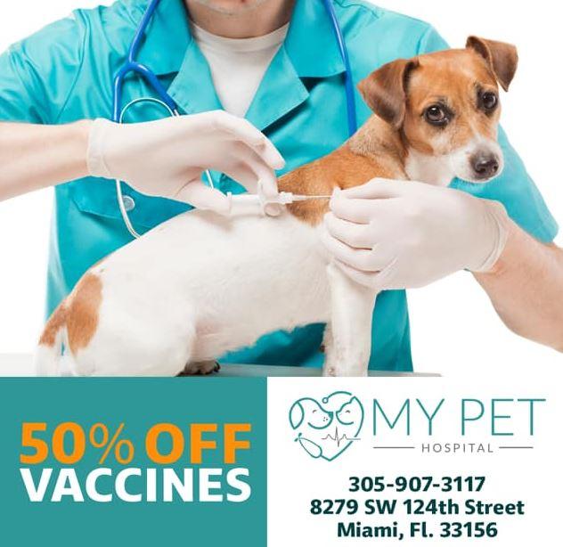 Pet Vaccination Services in Miami