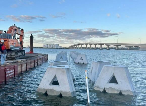 Living Shoreline Solutions