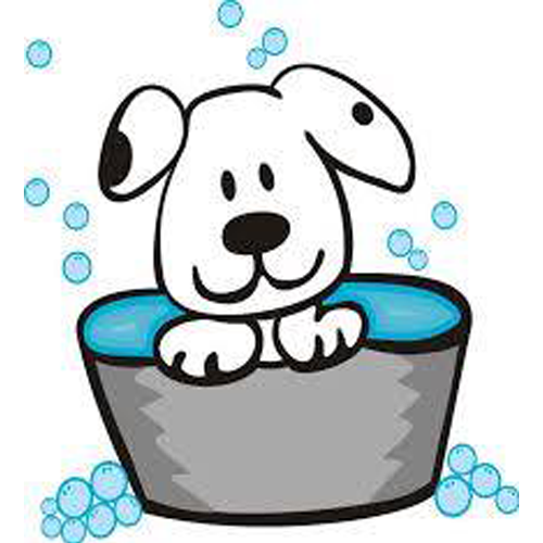 Wet Ur Paws Dog Wash & Grooming
