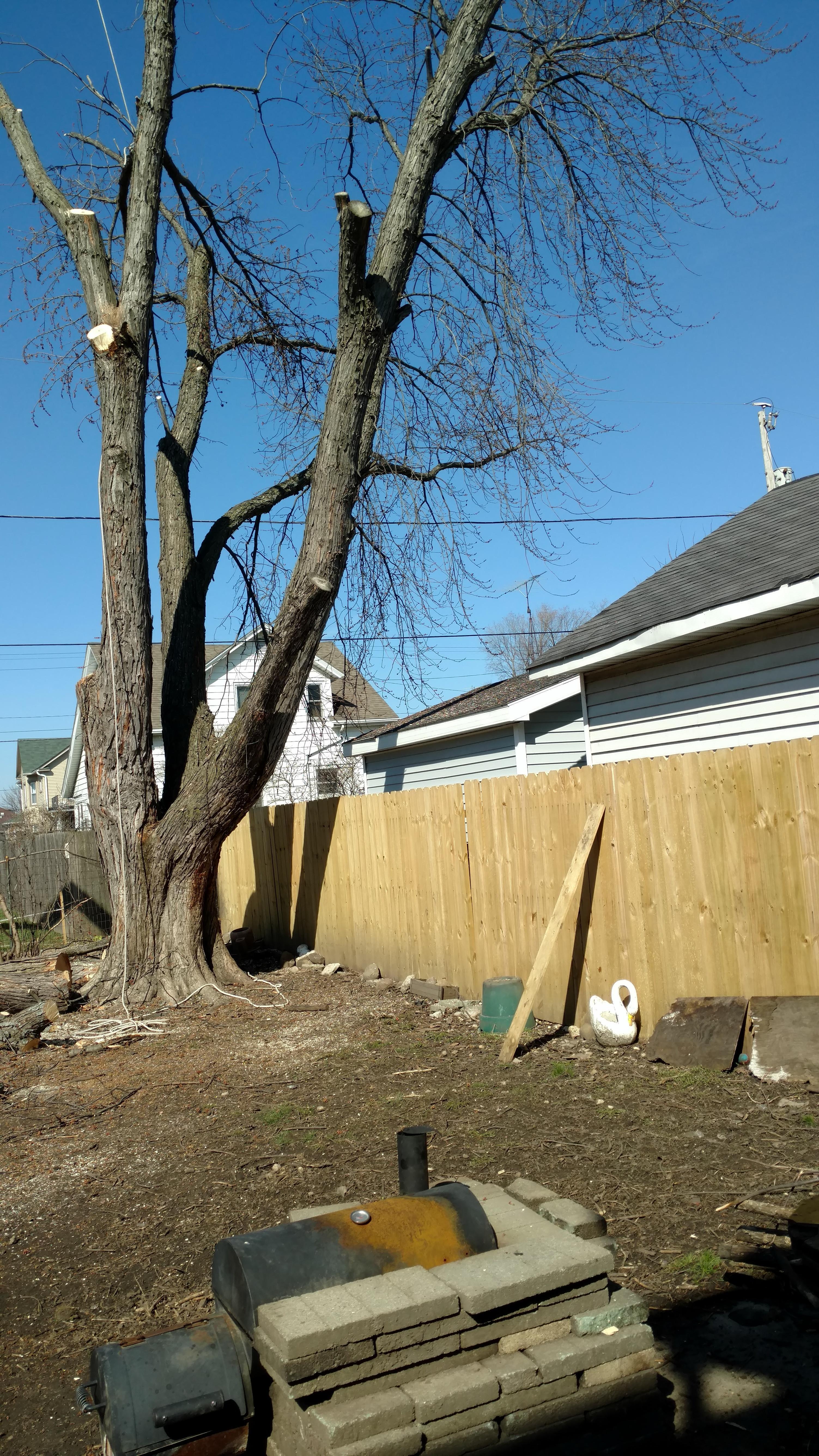 New Beginning Tree Service Company Image